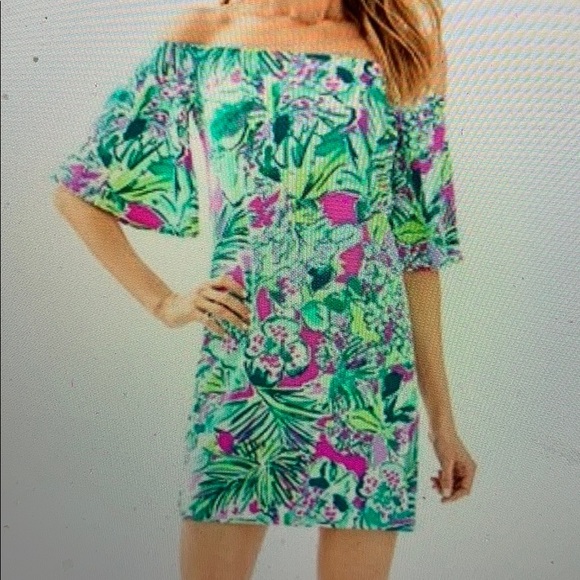 Lilly Pulitzer Dresses & Skirts - Lilly Pulitzer Dress NWT